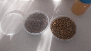 ?Перга с медом ? Мощнейшее средство для иммунитета   Как принимать???