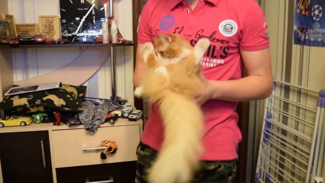 Optimus№4 Чем заняться дома когда скучно смотреть онлайн