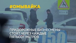 Стеклоомывающую жидкость каких производителей лучше не покупать и какая представляет опасность