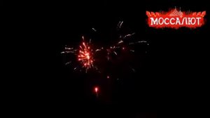 Батарея салютов Феникс Фейерверк 100 залпов арт CL 024