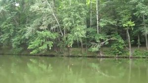 Сплав по реке Северский Донец из Изюма в Славянск