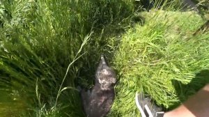 ПРИГОТОВИЛИ НАСТОЯЩИЙ УКРАИНСКИЙ  БОРЩ  НА КОСТРЕ! Виталий Зеленый! ВЛОГ!