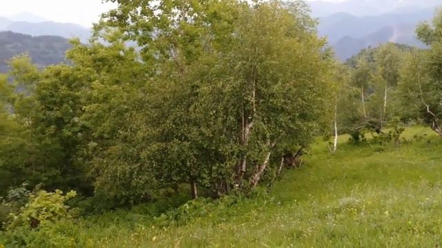 Нахадинская природа