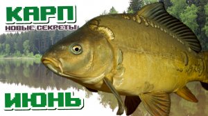 Новые секреты ловли карпа в июне которыми вы будете пользоваться всю жизнь! Карп в июне!