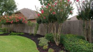 ЛАНДШАФТ ФРУКТОВОГО САДА/ LANDSCAPING IN FRONT OF THE HOUSE/ 100 ИДЕЙ ДЛЯ САДА/ ДВОР МОЕЙ ДАЧИ