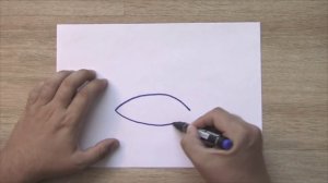 How To Draw A Crab In 60 Seconds؟ Crab In 60 Seconds with Funny Socks!