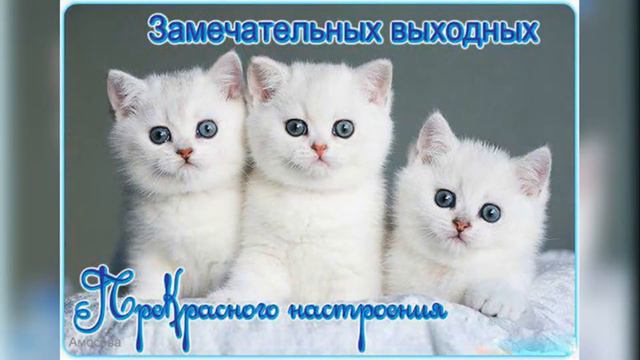 Хороших выходных! Приятных выходных! смотреть онлайн