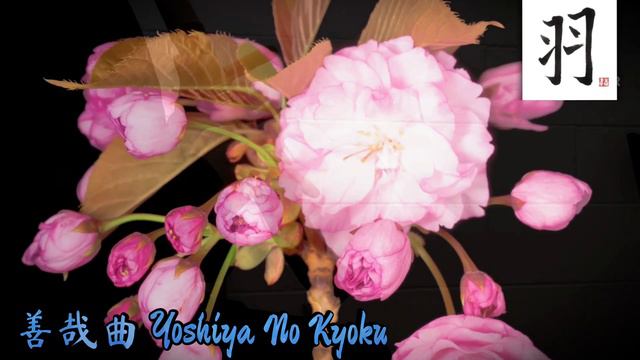 Yoshiya No Kyoku 善哉曲 ✨ Jiari 1.7 Shakuhachi Flute смотреть онлайн