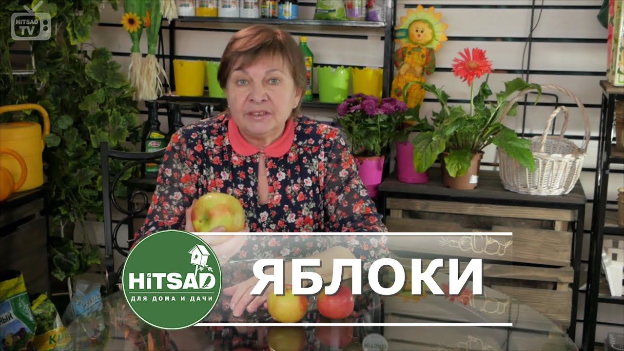 Яблоки   сборник рецептов
