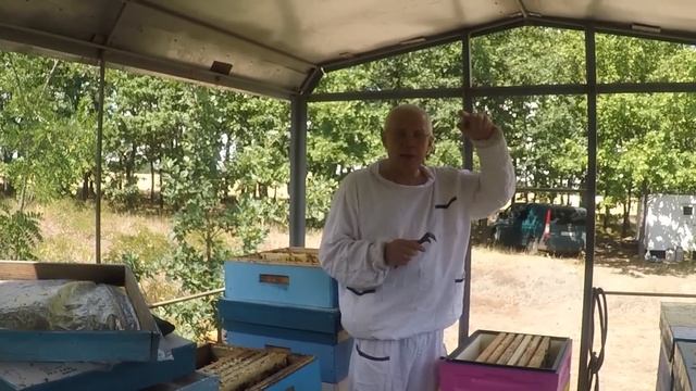 Как увеличить сбор меда Удивительные эксперименты в пчеловодстве смотреть онлайн