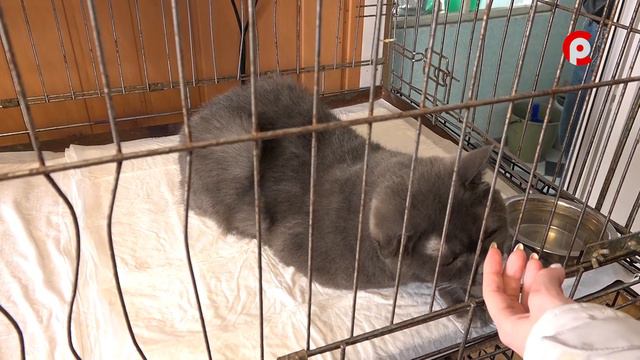 Доброе сердце 19.03.2021 смотреть онлайн