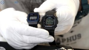 ТОП 5 самых популярных часов CASIO. Какие часы Casio выбрать? Alltime