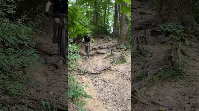 Downhill “Shred” #shorts #mtb#mountainbike