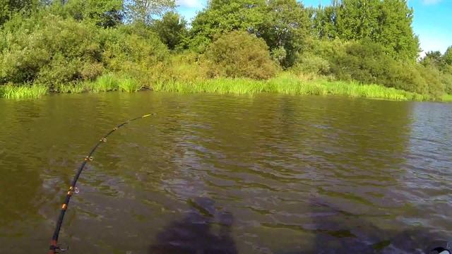 р Волхов 21 08 14 смотреть онлайн