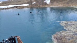 Поездка на Голубое озеро (Самарская область) 21 марта 2020