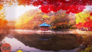 "КУРБУЛАР" Сөзү. Мариям Буларкиева. Обону. Аксуубай Атабаев. Сабира Суранчиеванын аткаруусунда.