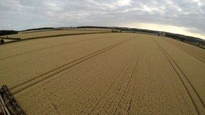 Wheat Harvest 18' in the UK   Little Bradly