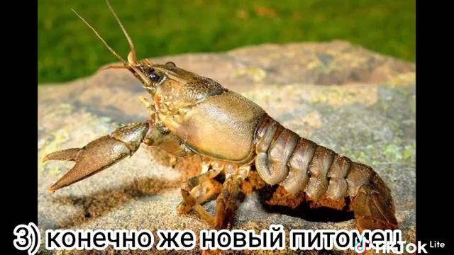 3 причины зачем надо курить смотреть онлайн