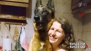 Покатай меня, хозяйка! Видели видео? Фрагмент выпуска от 25.08.2019