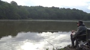 Extreme pleasure fishing for ROACH! Stunners from my local park lake