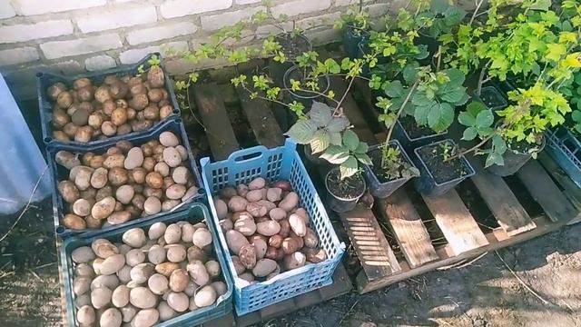 Мир Труд Май 2021 г // Мы принимаем клиентов дома в Зарайске + по всей России // С.Х.У смотреть онлайн