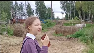 обзор конюшни КСК КАРЬЕР