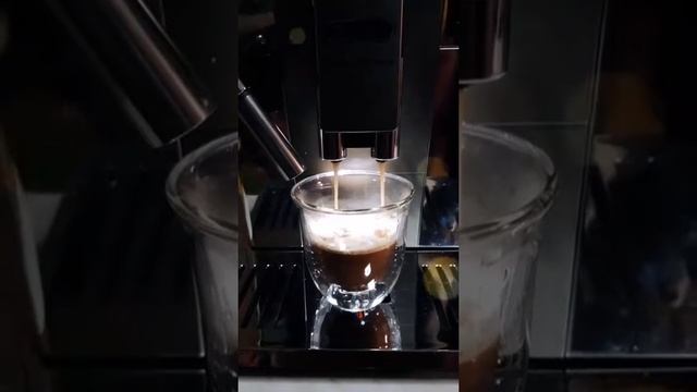 Making an Espresso with De'Longhi Primadonna