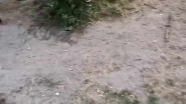 Приезд на отдых. Ока, не далеко от Рязани. смотреть онлайн