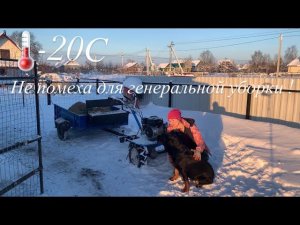 Любишь домашние яйца кушать , люби и курятники убирать!