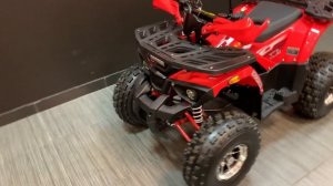 Квадроцикл Bison Miravel 125 Lux