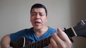 А. Розенбаум. Снегири (кавер)