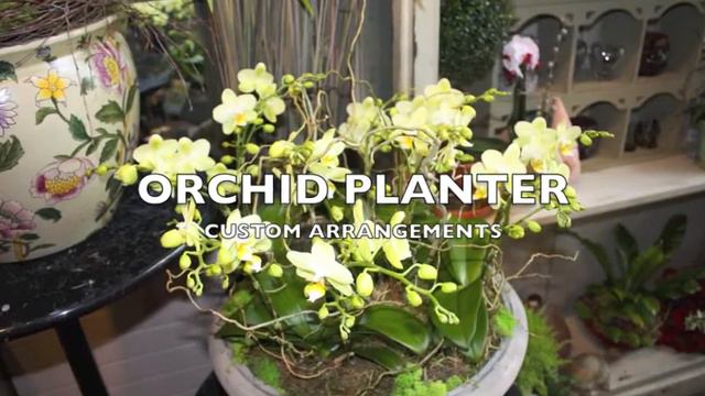 Vancouver florist, flowers, orchids, roses, Weddings, Corporate designs, custom silk arrangements смотреть онлайн