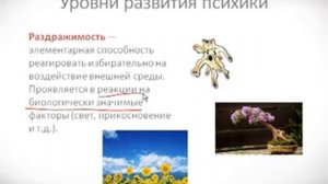 Психология урок 9 Понятие психики