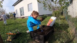 Детская клумба своими руками за час | Children's simple flowerbed from a box