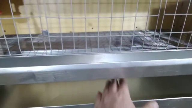 Обзор/Купить недорого клетку Откорм№3 для перепелов из дерева интернет магазин - Большой фермер смотреть онлайн