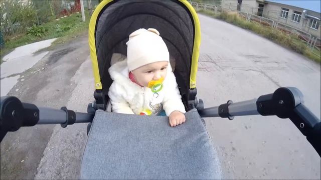 Видео для детей. VLOG: ИГРАЕМ с тюленем, ИДЕМ за ПОКУПКАМИ