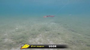 Силиконовая приманка Fish Magnet UGOR 8.5″ игра под водой