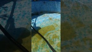 Мойка бассейна пылесосом Декстер
