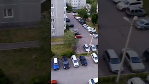 Выборг папула день независимости