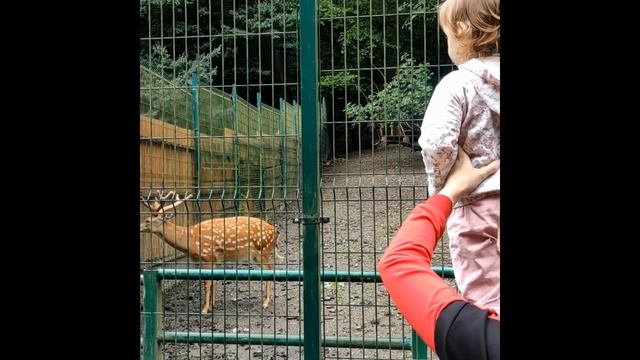 Sofiya_Beautiful в заповеднике / национальный заповедник Сочи смотреть онлайн