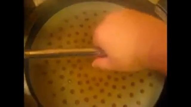Verdam alu su Braumeister klonu