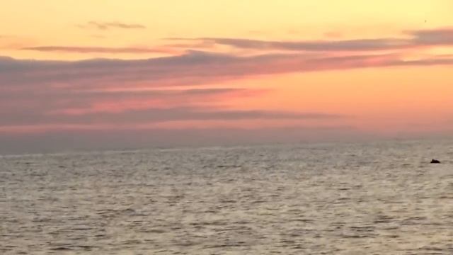 МОРСКАЯ РЫБАЛКА В КРЫМУ,ЯЛТА,ЛОВЛЯ СЕЛЁДКИ