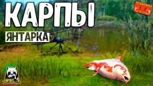 РР4/ рыбалка для души, ловим как универсал, общаемся 17.04.24