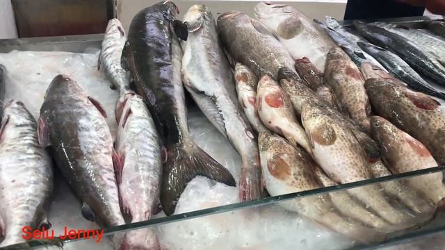 Ajman Fish Market (Live Fish in Ajman )Fish Market | UAE смотреть онлайн