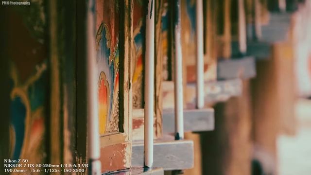 Nikon Z50 Sample Images | Nikon Z50 Photography 2023 | Flowers Photography смотреть онлайн