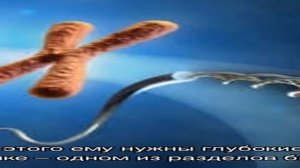 Профессии, связанные с биологией