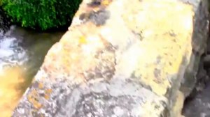 6).Болгария Экскурсия.Летняя резиденция румынской королевы Марии Ботанический сад .Июнь, 2017 год.