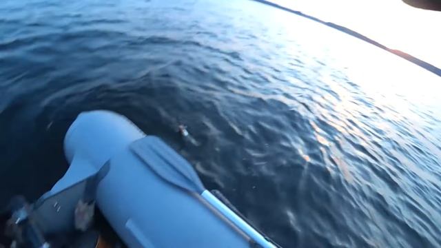 ОТЛИЧНЫЙ КЛЕВ СУДАКА!!! РЫБА РВЁТ ПОВОДКИ!!! смотреть онлайн