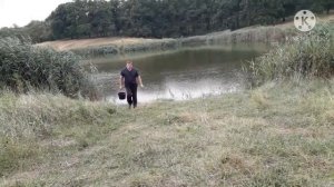 Ловля толстолоба на технопланктон