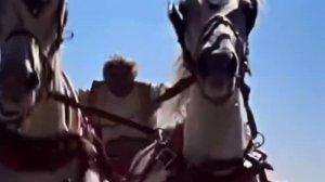 Клип/Нас не догонят(Кавер) /Королевство Кривых Зеркал